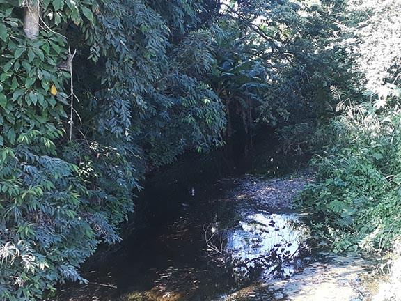 río guayabo